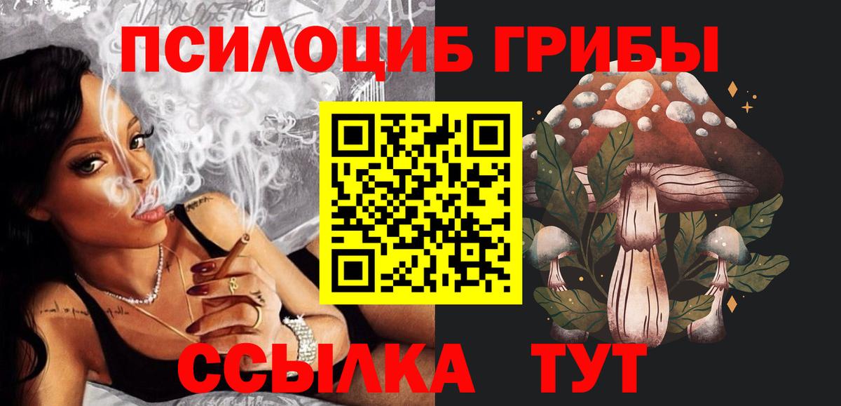 Псилоцибиновые грибы Psilocybe Губкинский