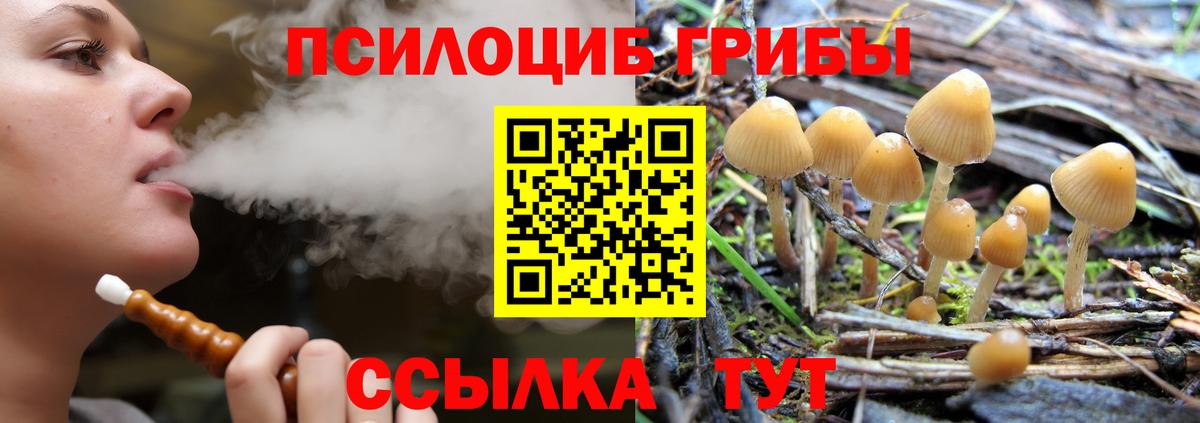 Губкинский  Псилоцибиновые грибы ЛСД  Вход с VPN 